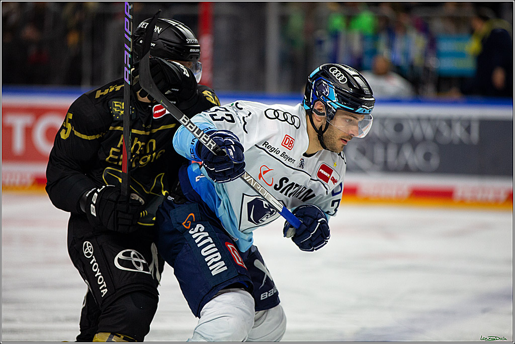 PENNY DEL;  Kölner Haie - ERC Ingolstadt; Köln, 25.11.2022